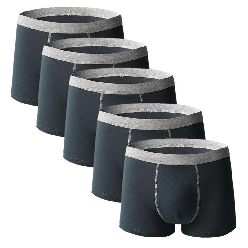 Angelo Ricci™ Comfy Breathable Cotton Men Underwear 5Pcs