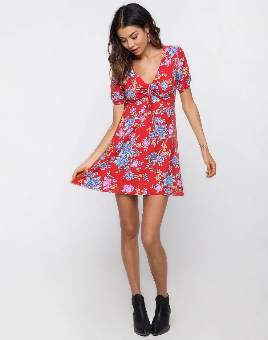 Giska Tea Dress in Vintage Fleur